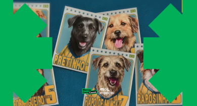 Arte Marcas com Causa mostra figurinhas de cães vira-latas vestindo camisas verde e amarelas